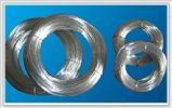 Galvanized  Wire 